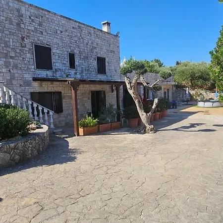 Homestay Casa Dario *