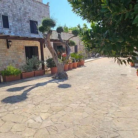 Séjour chez l'habitant Casa Dario Locorotondo