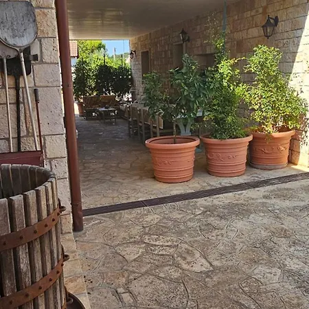 Homestay Casa Dario